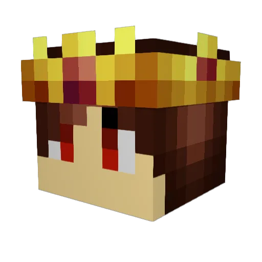 phillip_14 Minecraft avatar head, 3D render