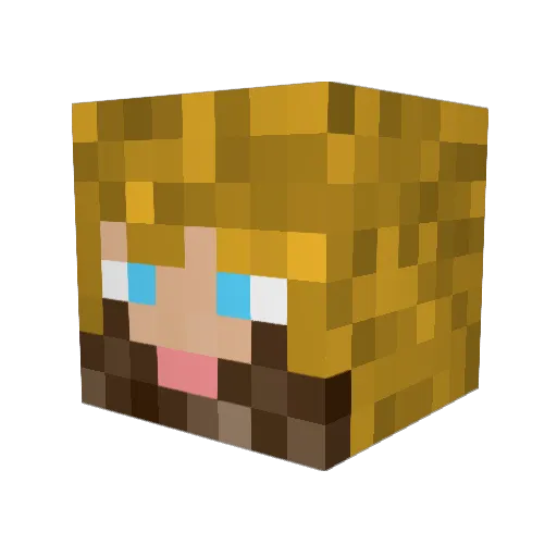 phillyphreak26 Minecraft avatar head, 3D render