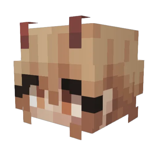 phini_ Minecraft avatar head, 3D render