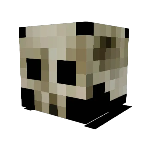 phinnyboy Minecraft avatar head, 3D render