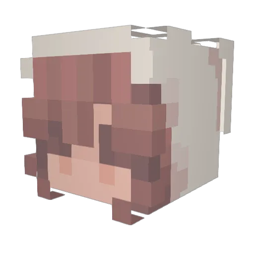 phishboy Minecraft avatar head, 3D render