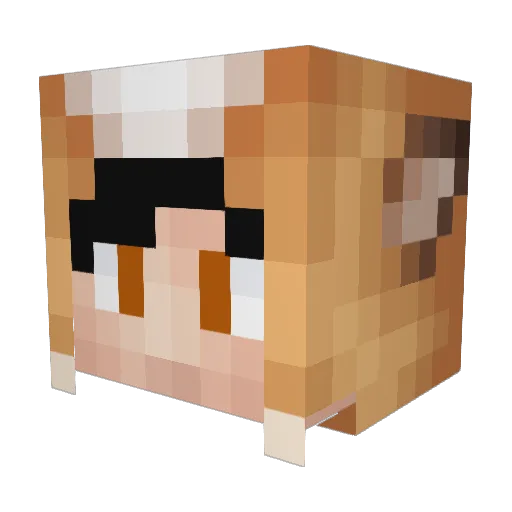 phishtix Minecraft avatar head, 3D render