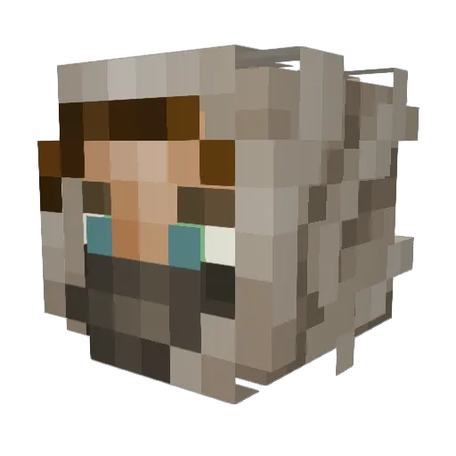 phliam Minecraft avatar head, 3D render