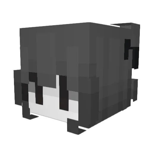 phloyda Minecraft avatar head, 3D render