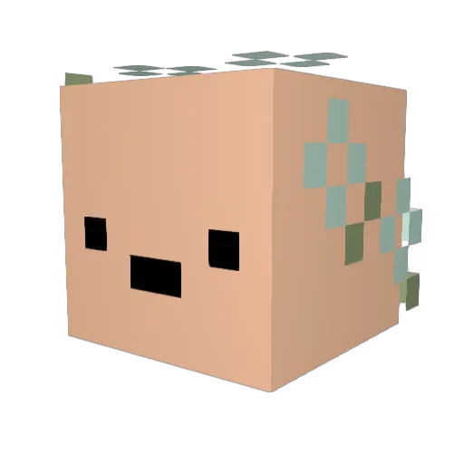 phobethebug Minecraft avatar head, 3D render