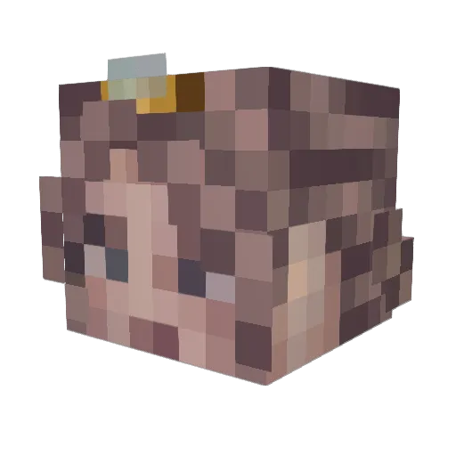 phoebe202 Minecraft avatar head, 3D render