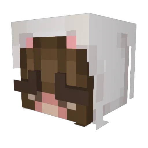 phoebee Minecraft avatar head, 3D render