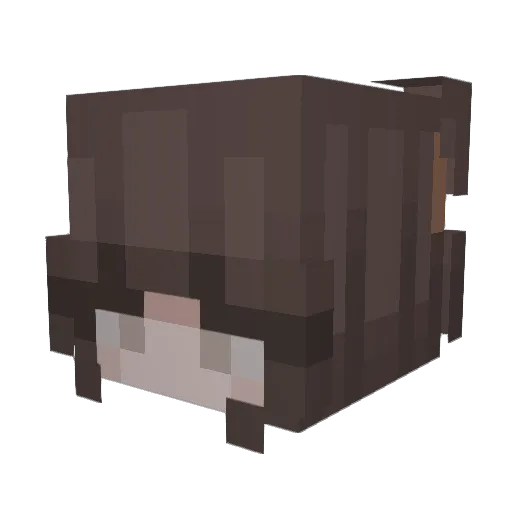 phoebethers Minecraft avatar head, 3D render