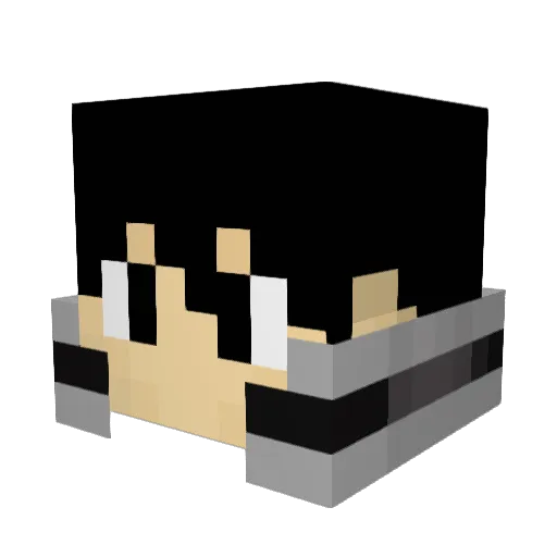 phoenix7292 Minecraft avatar head, 3D render