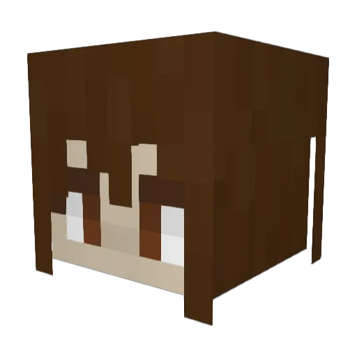phoenix7540 Minecraft avatar head, 3D render