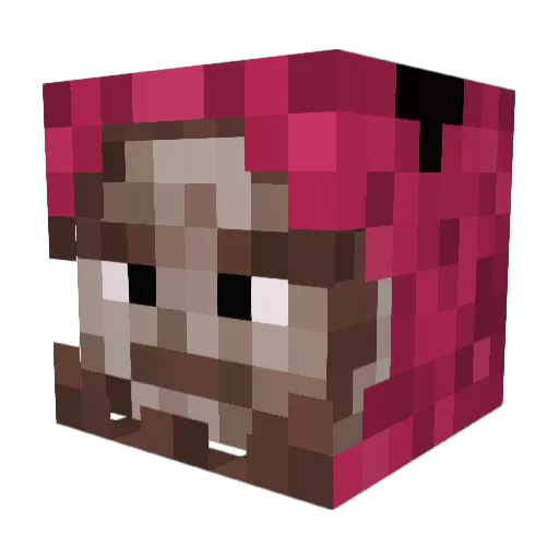 phoenixMirai Minecraft avatar head, 3D render