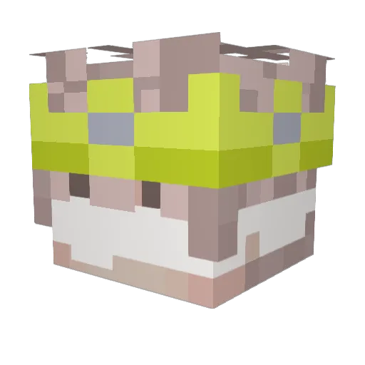 phoenix_sen Minecraft avatar head, 3D render