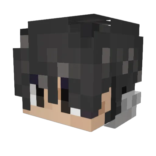 phoenixfire404 Minecraft avatar head, 3D render