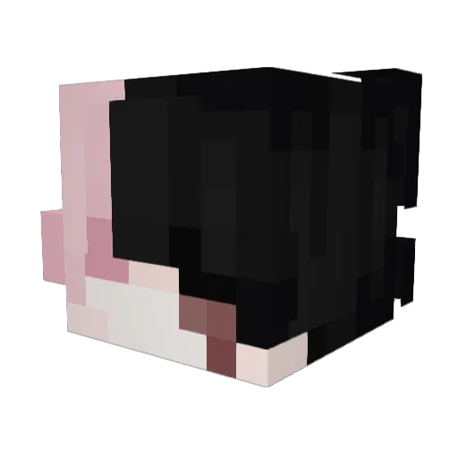 phoodu Minecraft avatar head, 3D render