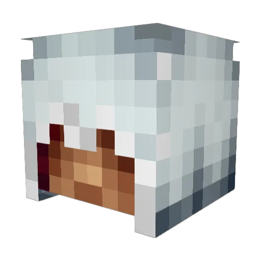 phoojlis Minecraft avatar head, 3D render