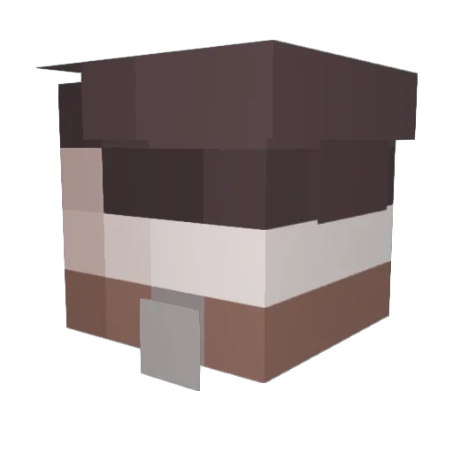 phpfpm Minecraft avatar head, 3D render