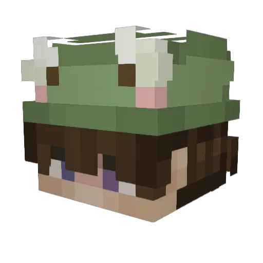 phr0g__ Minecraft avatar head, 3D render