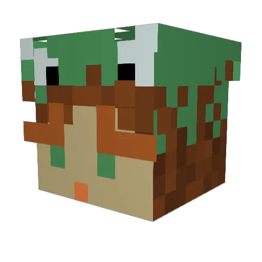 phr0ggity Minecraft avatar head, 3D render