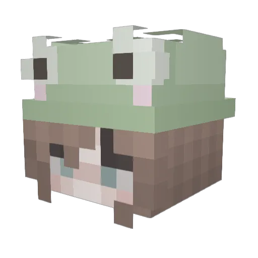 phrogbois Minecraft avatar head, 3D render