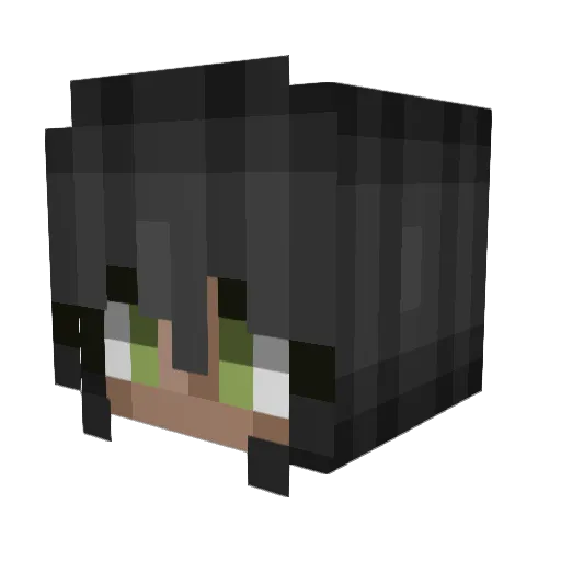phrogilani Minecraft avatar head, 3D render
