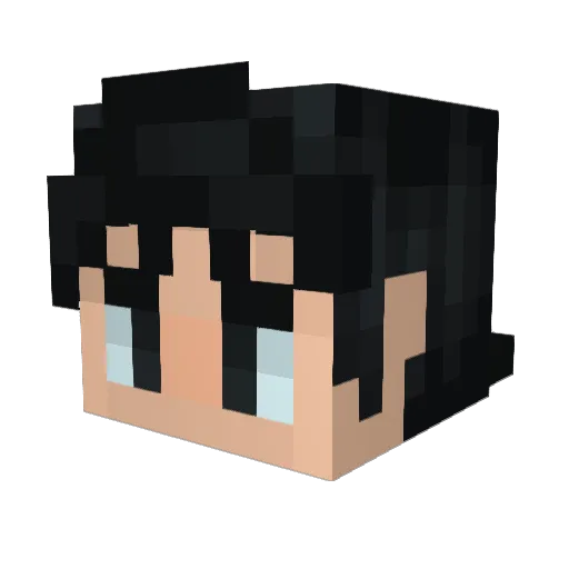 phrogsonlogs Minecraft avatar head, 3D render
