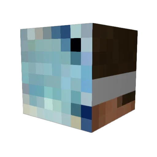 phsycoSi Minecraft avatar head, 3D render