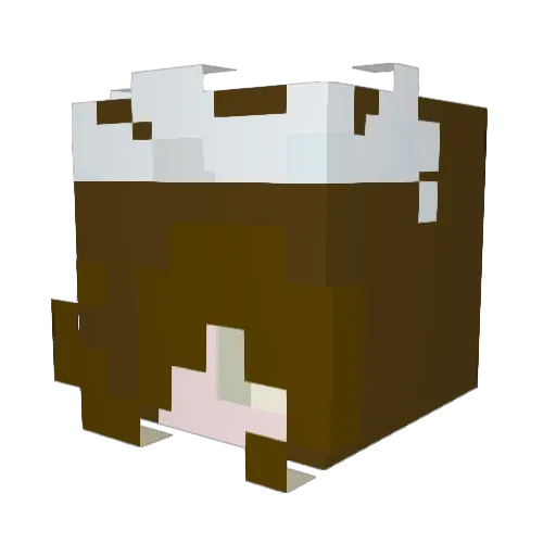 phtmboxx Minecraft avatar head, 3D render