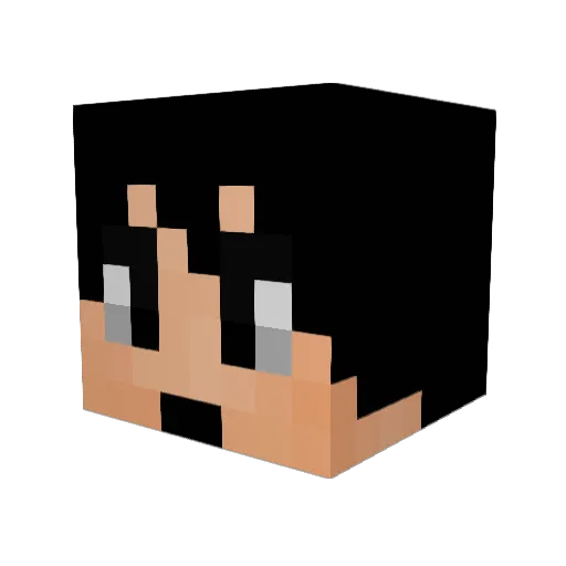 phuntast1c Minecraft avatar head, 3D render