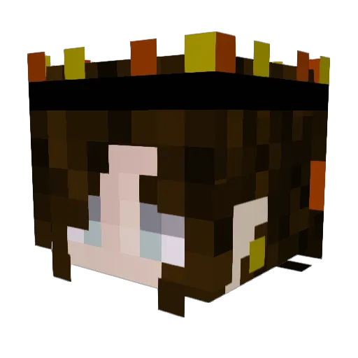 phyleon Minecraft avatar head, 3D render