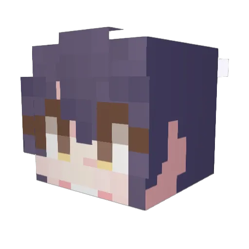 physical_Alan Minecraft avatar head, 3D render