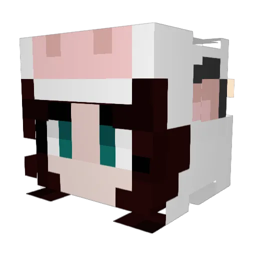 physicsh6ter Minecraft avatar head, 3D render
