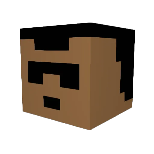 physoid Minecraft avatar head, 3D render