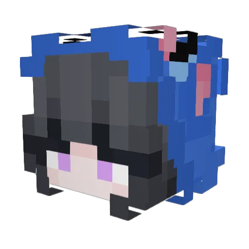 pi4n Minecraft avatar head, 3D render