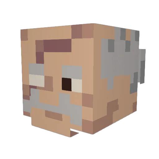pi_is_da_best Minecraft avatar head, 3D render