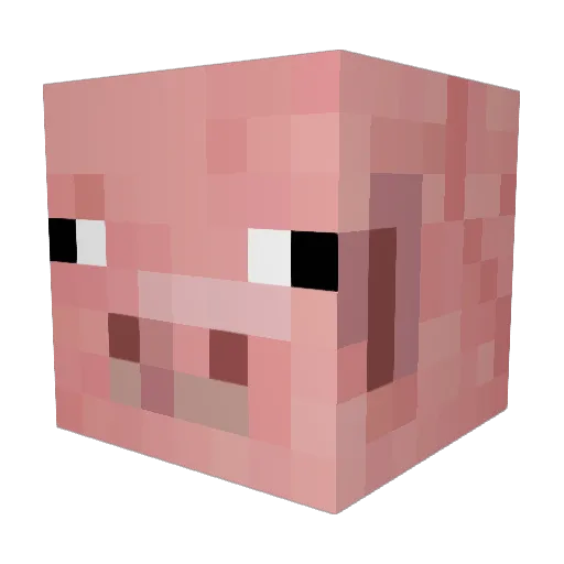pi_is_yummy Minecraft avatar head, 3D render