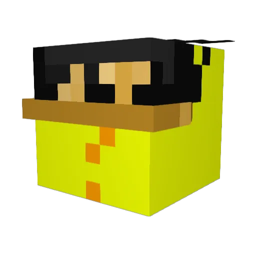 pi_isyummy Minecraft avatar head, 3D render