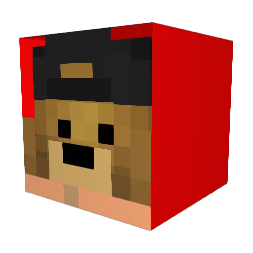 pial11 Minecraft avatar head, 3D render