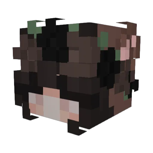 pianobella Minecraft avatar head, 3D render