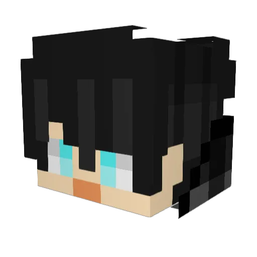 piaoche555 Minecraft avatar head, 3D render