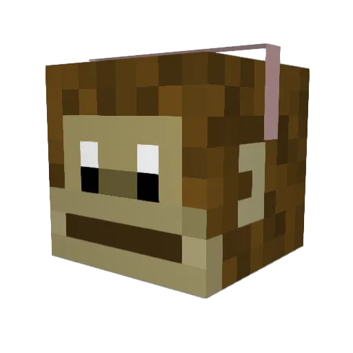 piapiku666 Minecraft avatar head, 3D render