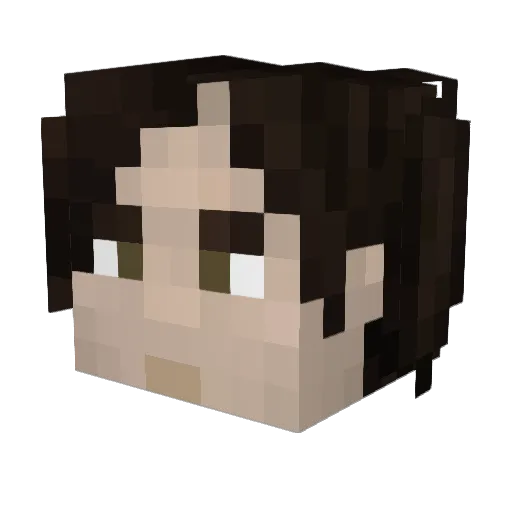 picard2 Minecraft avatar head, 3D render