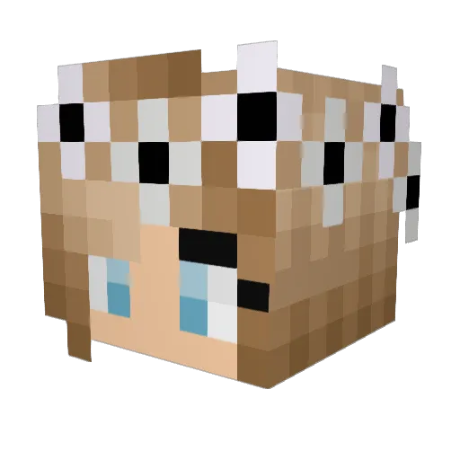 picassothegreat Minecraft avatar head, 3D render