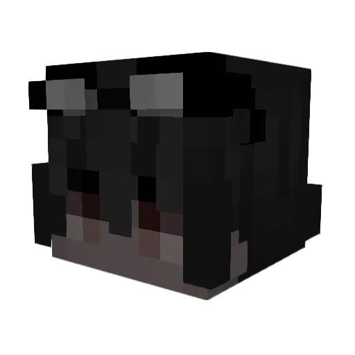 pickel_sandwich Minecraft avatar head, 3D render