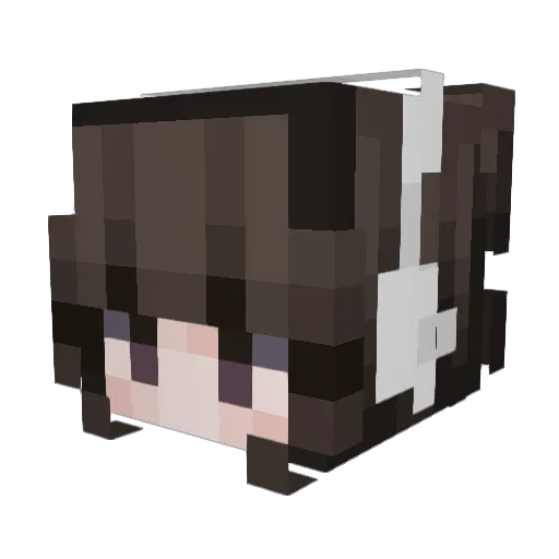 pickle2small Minecraft avatar head, 3D render