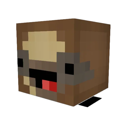 pickleberry007 Minecraft avatar head, 3D render