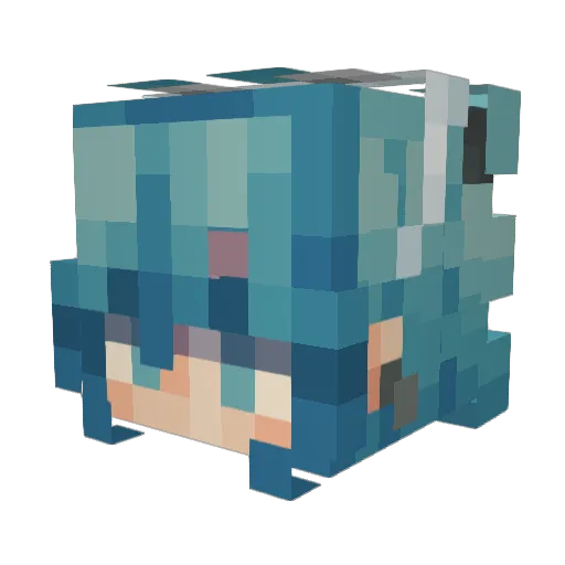 picklebra Minecraft avatar head, 3D render