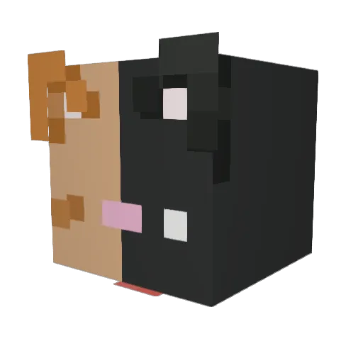pickled_kit Minecraft avatar head, 3D render