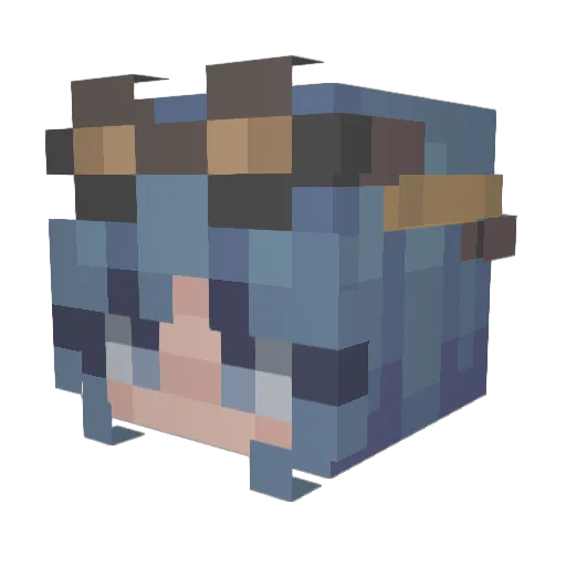 pickledanxiety Minecraft avatar head, 3D render
