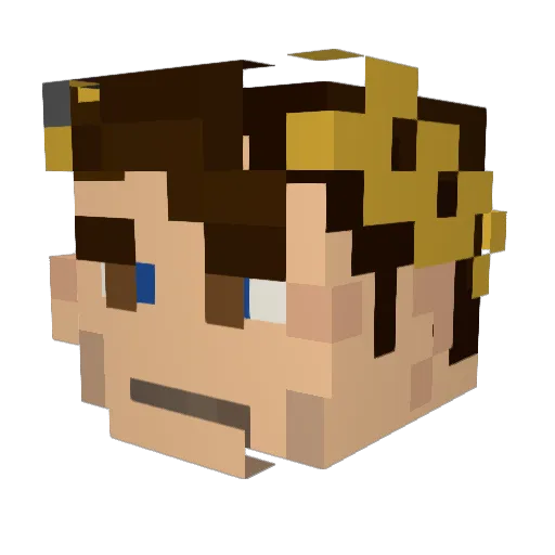 pickledmatko Minecraft avatar head, 3D render