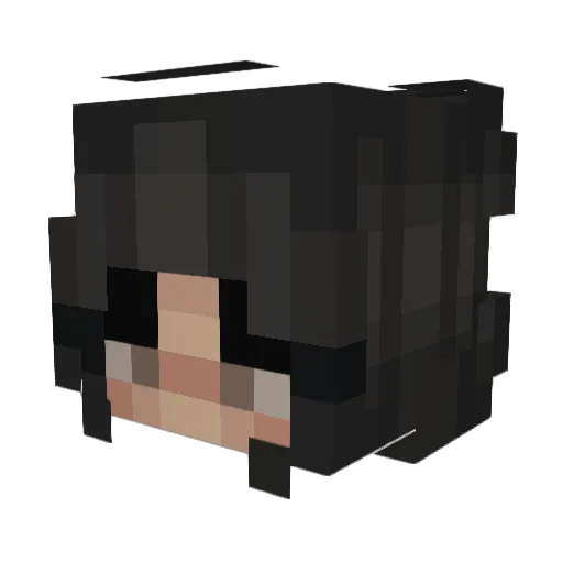 pickledrizzle Minecraft avatar head, 3D render